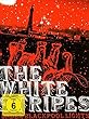 The White Stripes : Under Blackpool Lights - DVD