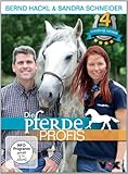 Die Pferdeprofis Wiederholung