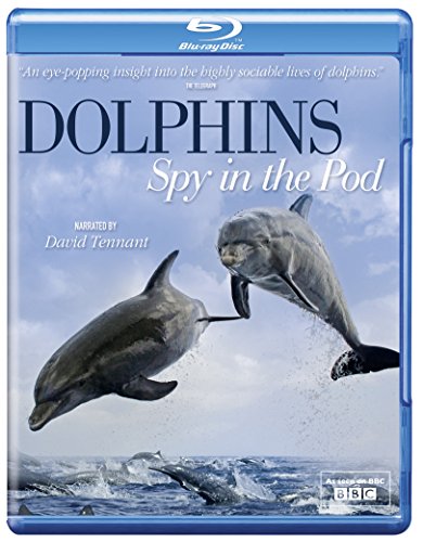 Dolphins: Spy in the Pod