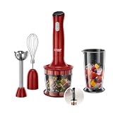 Russell Hobbs Desire 24700-56, 500 W, 3 en 1