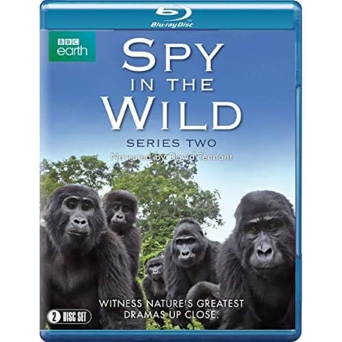 Spy in the Wild
