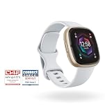 Fitbit Sense 2 Blue Mist Soft Gold Smartwatch