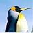 World Wildlife Nido Per Pettirossi – Tronco Di Betulla Argentata 28x20x21 Cm, Apertura Frontale Ampia, Certificato FSC
