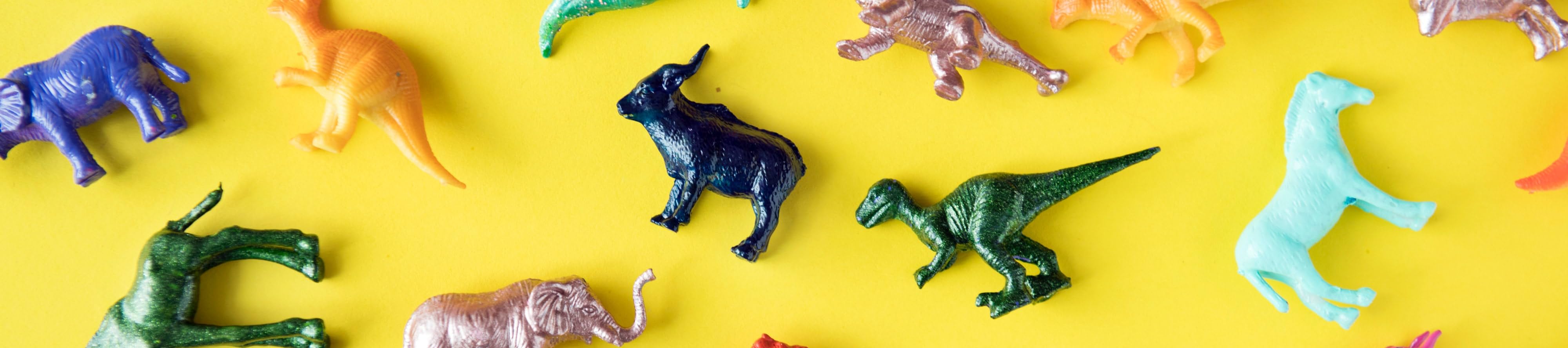 The Little Bargain Hunter's Amazon page