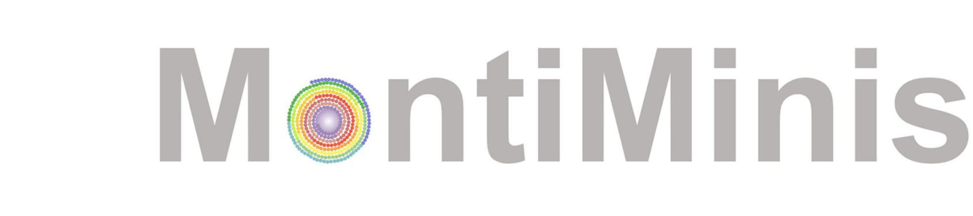 Die Amazon Seite von MontiMinis