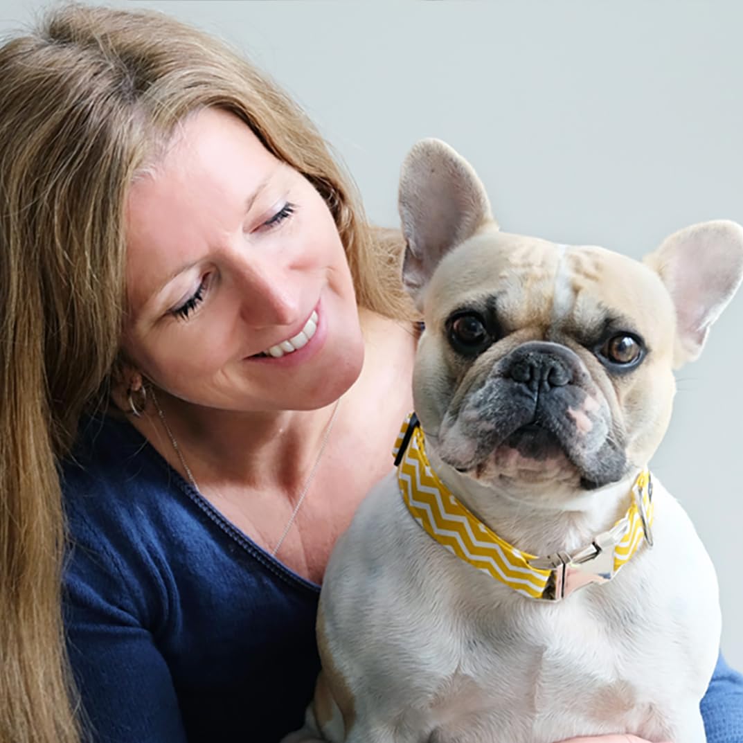 Sarah Ruffles Sarah from Ruffle Snuffle's Life With Pets's Amazon page