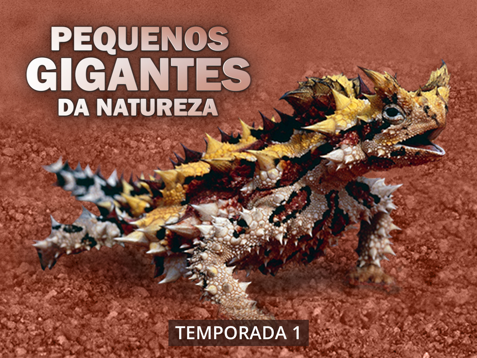 Prime Video: Little Giants - Season 1