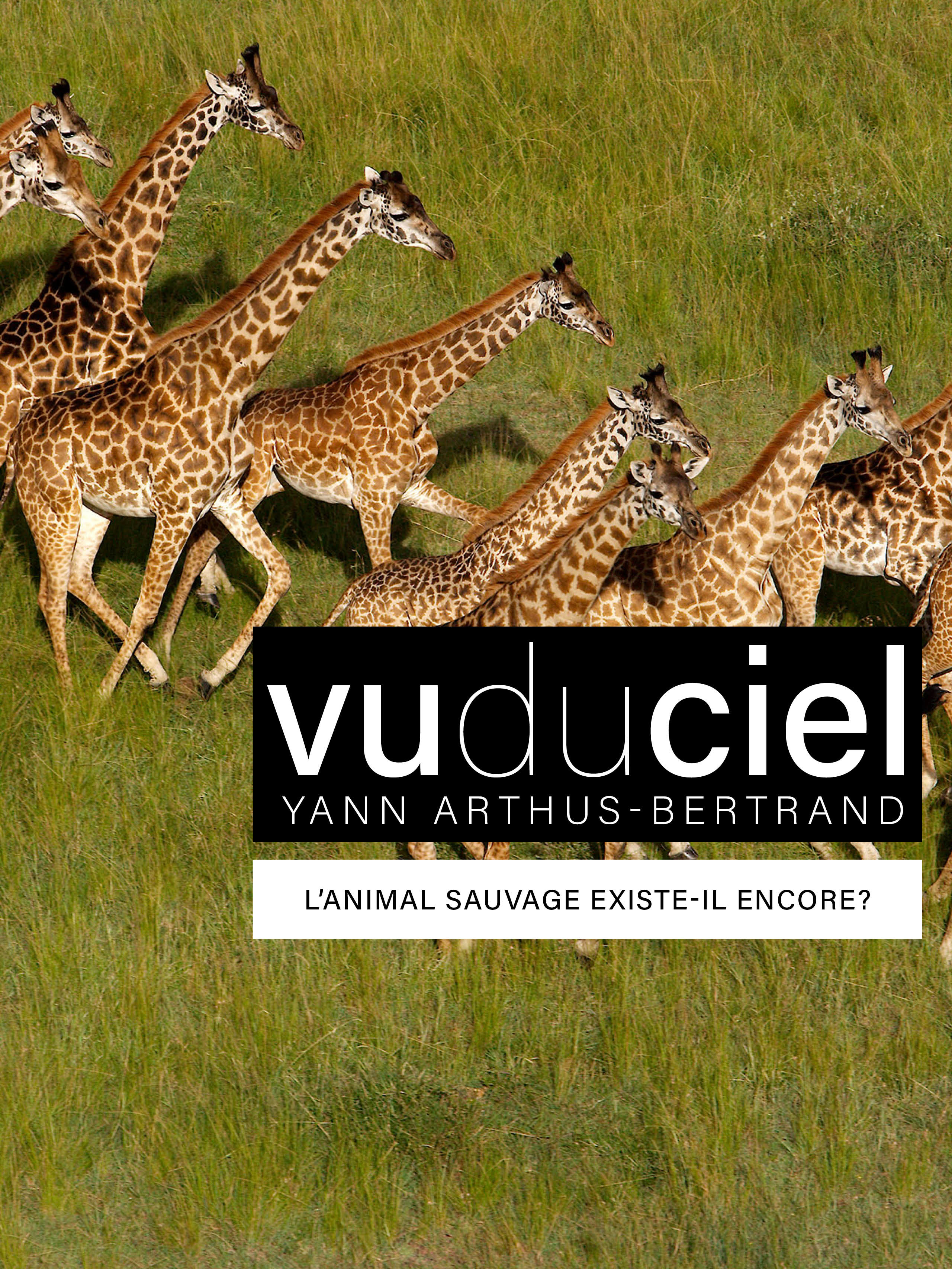 Prime Video L'animal sauvage existeil encore?