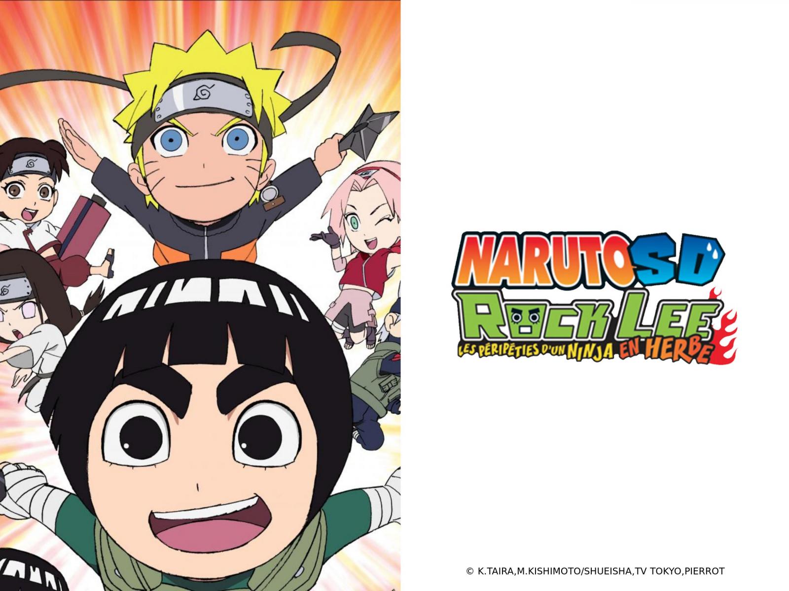 Rock Lee Les Péripéties D Un Ninja En Herbe