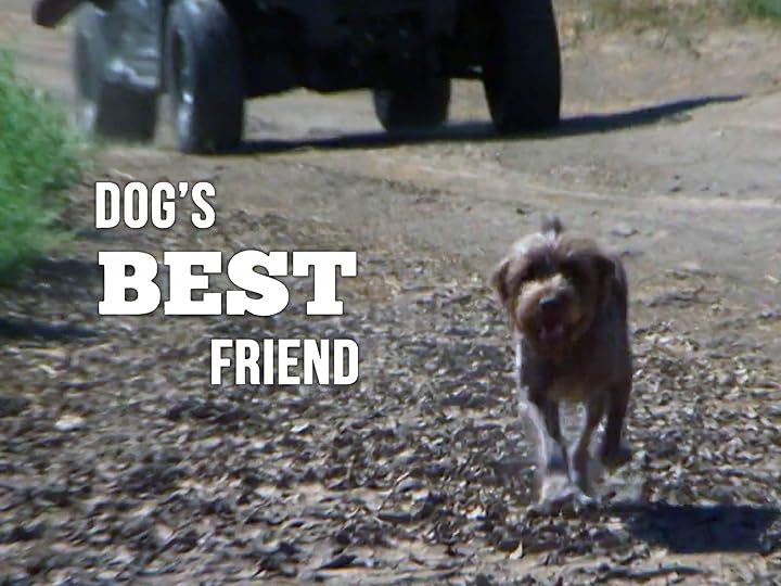 Prime Video Dog s Best Friend Season 1