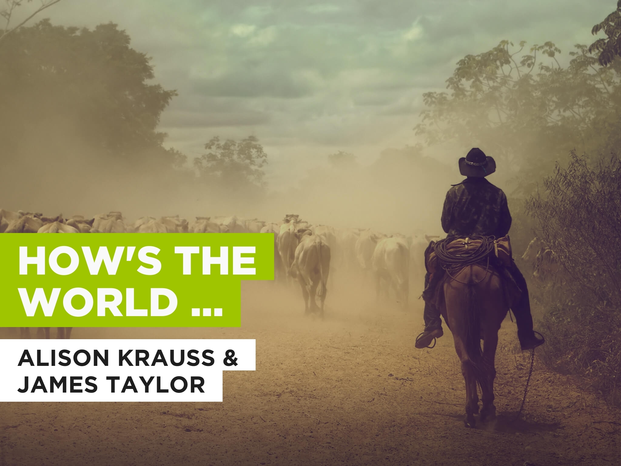 Prime Video How s The World Treating You Al Estilo De Alison Krauss Prime video how s the world treating you al estilo de alison krauss