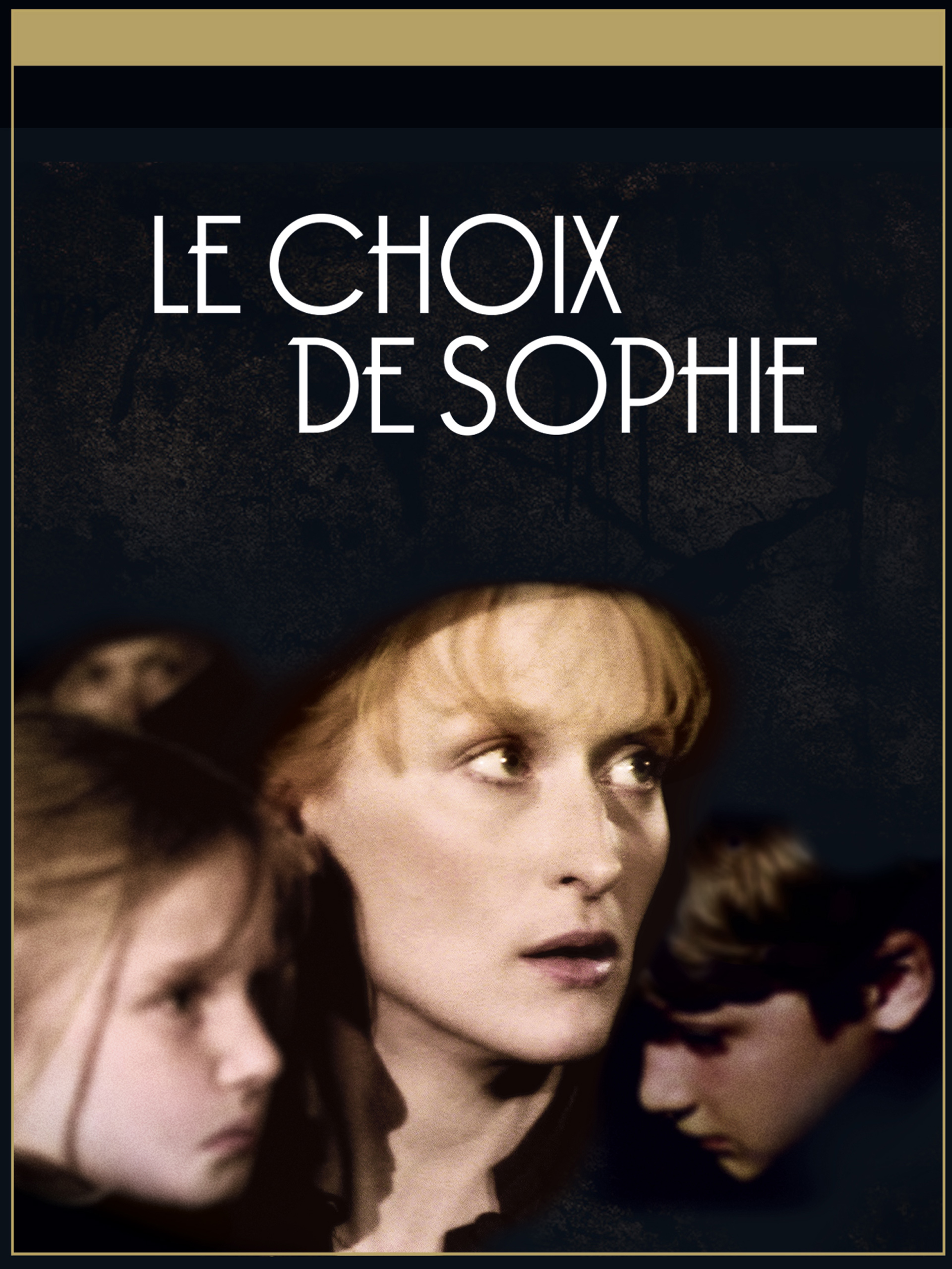 Prime Video Le choix de sophie