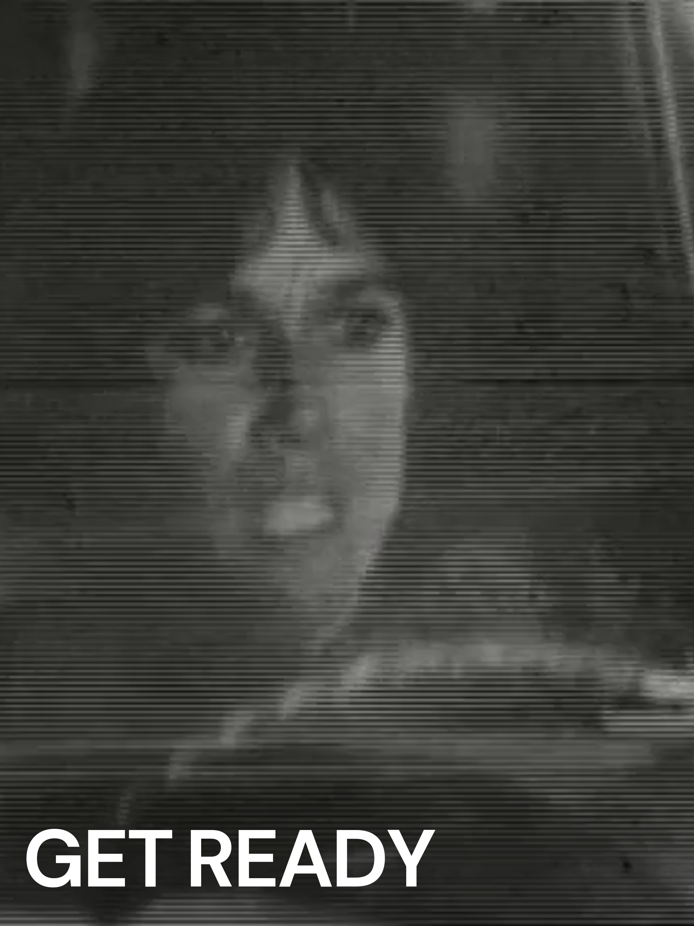 Prime Video: Get Ready