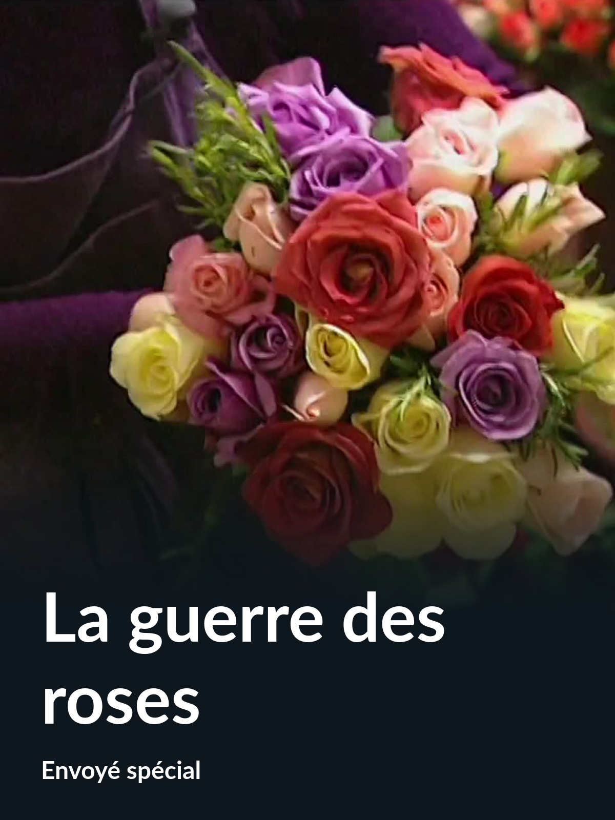 LA GUERRE DES ROSES visual data 4