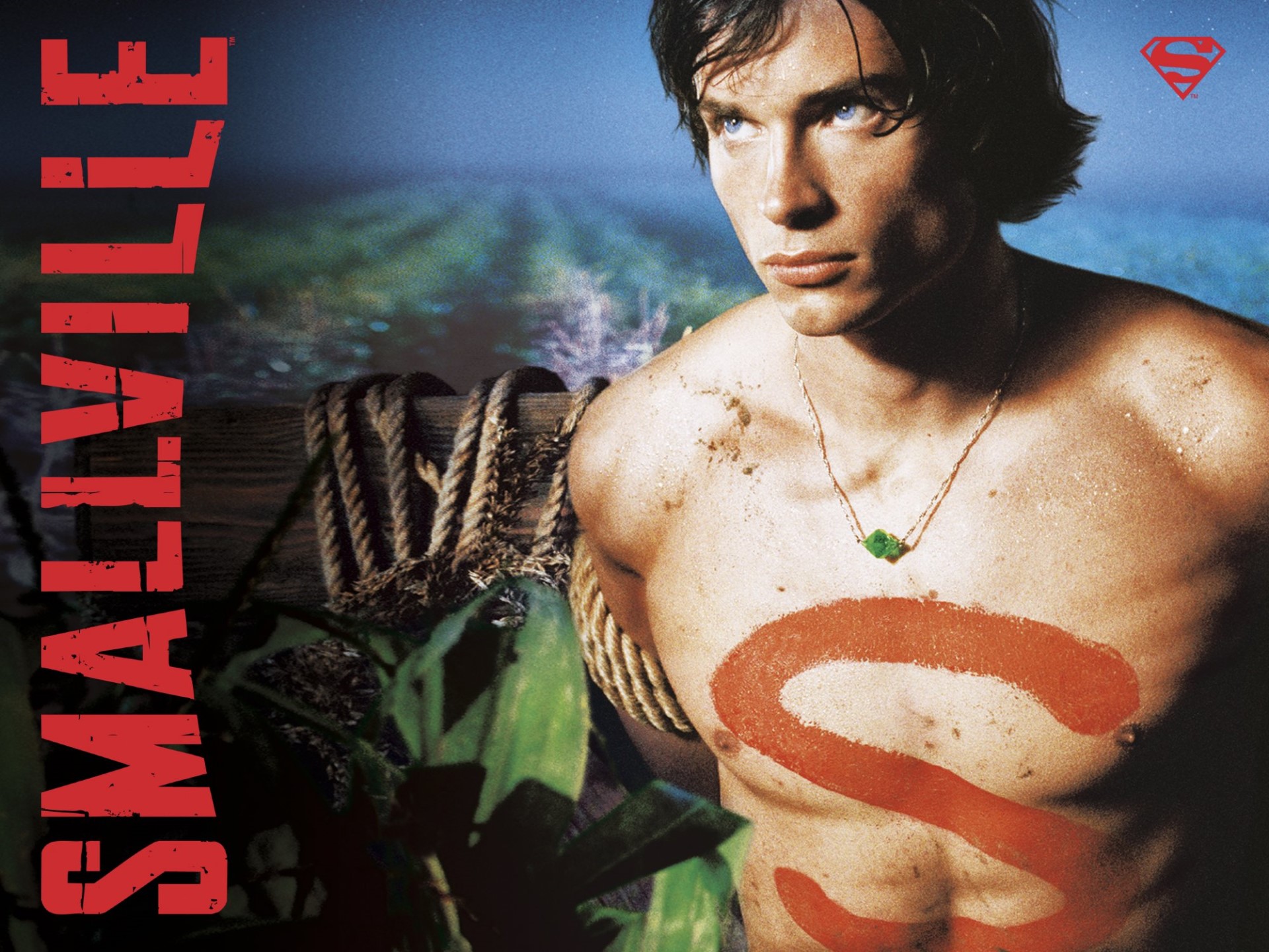 Prime Video Smallville Saison 1 L'Integrale
