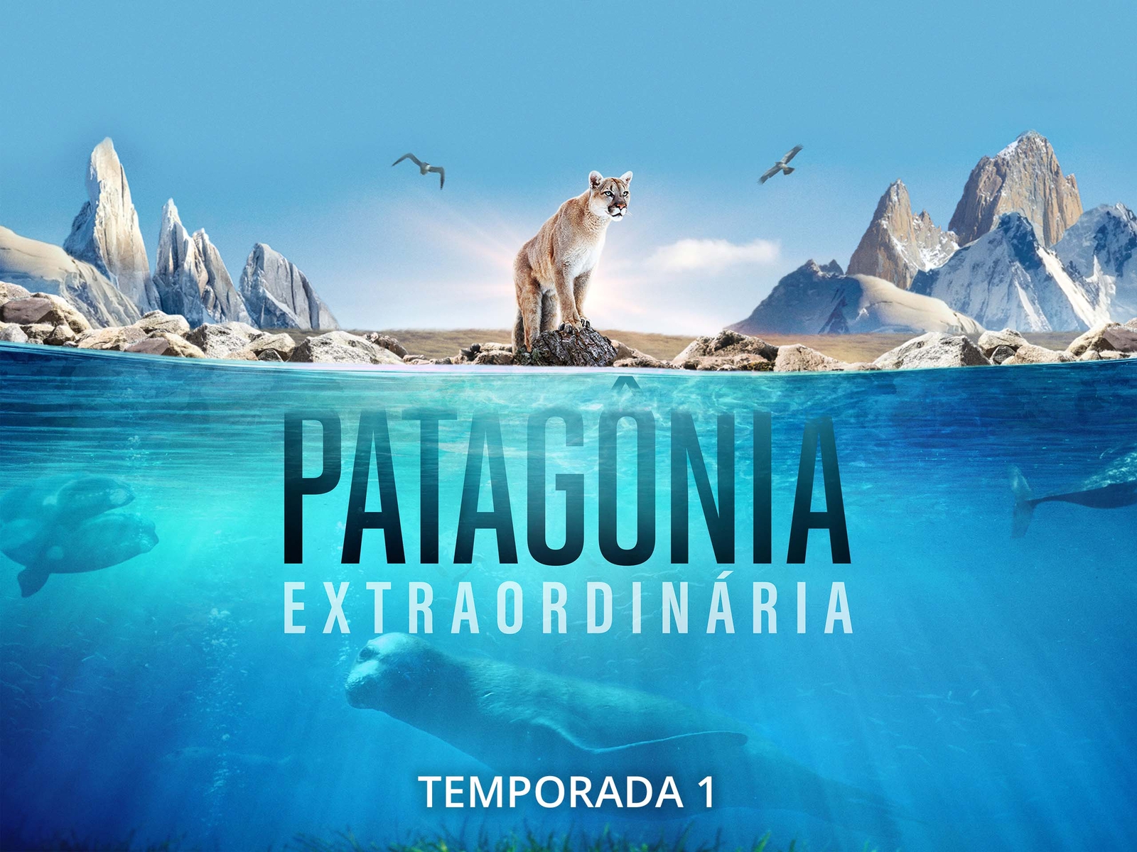 Prime Video Patagônia Extraordinária Season 1