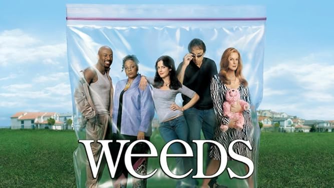 Amazon De Weeds Staffel 1 Dt Ov Ansehen Prime Video