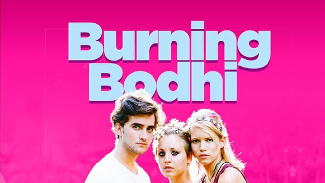 harley quinn converse amazon