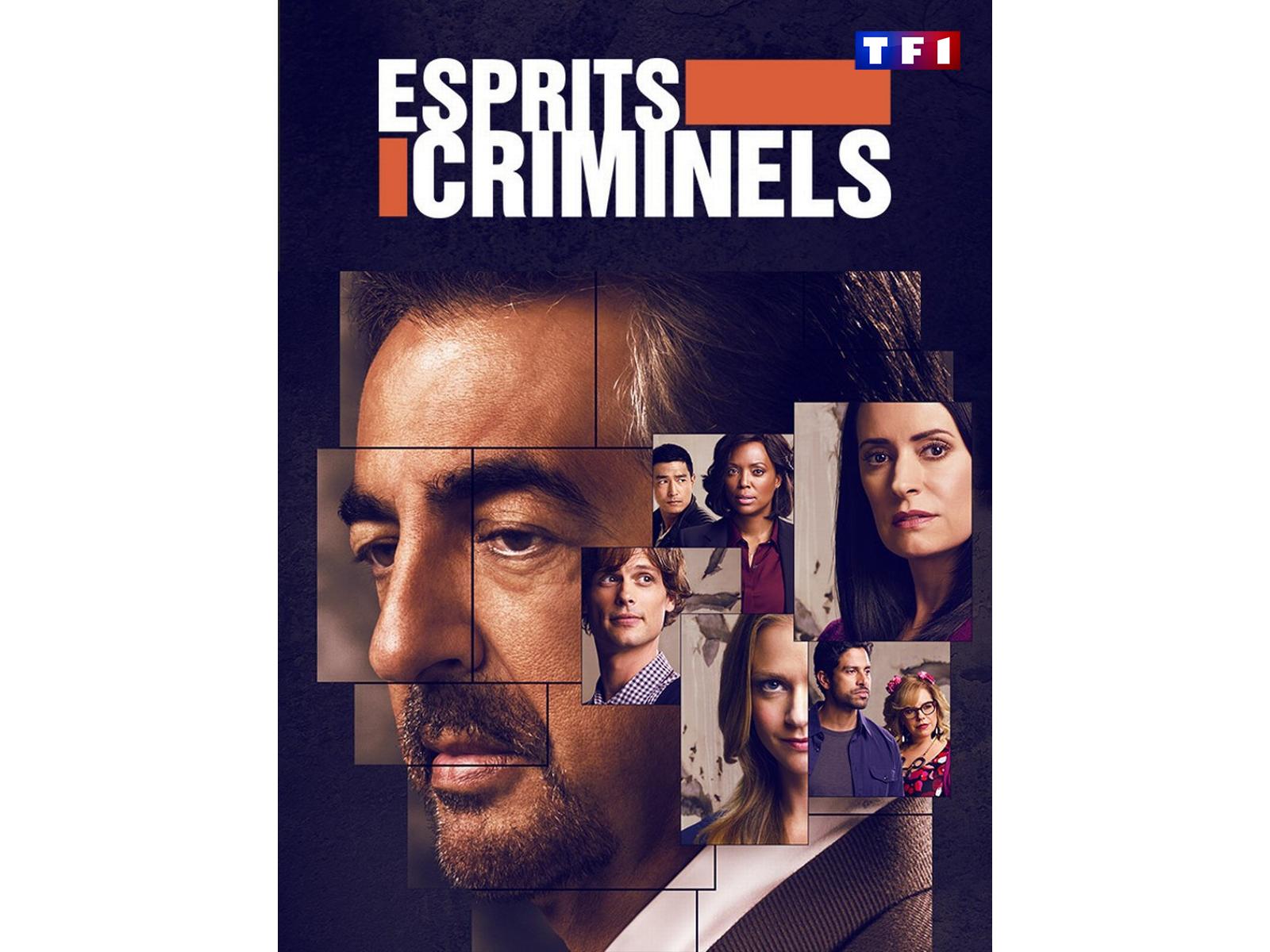 Esprits Criminels Saison 8 Episode 20