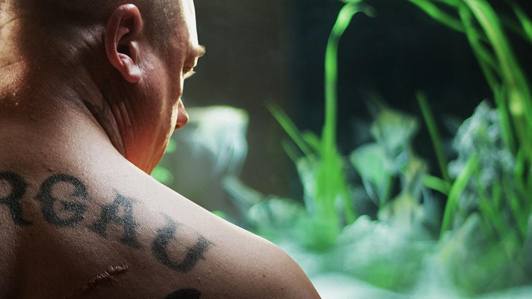 Amazon.de Herbert ansehen Prime Video