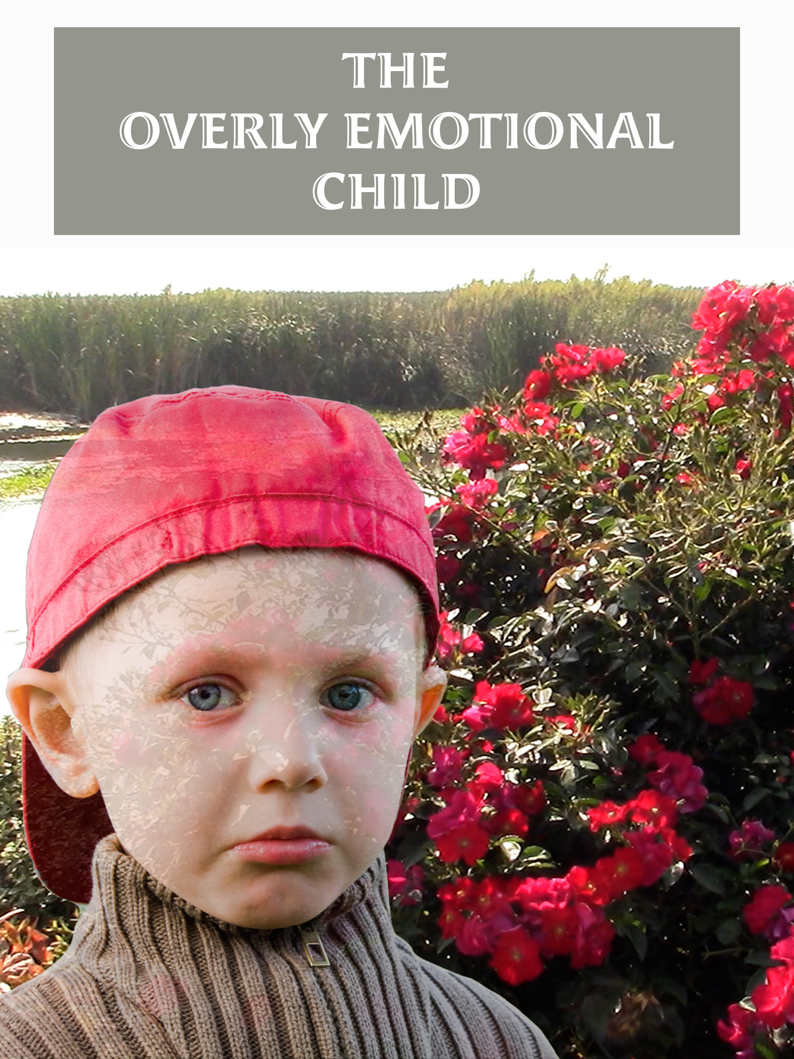Bubblebfiit Onlyfans: A Parent'S Guide - lz24s63