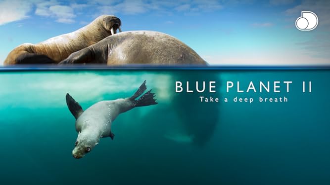 Amazon.de: Unser Blauer Planet II - Season 1 ansehen | Prime Video