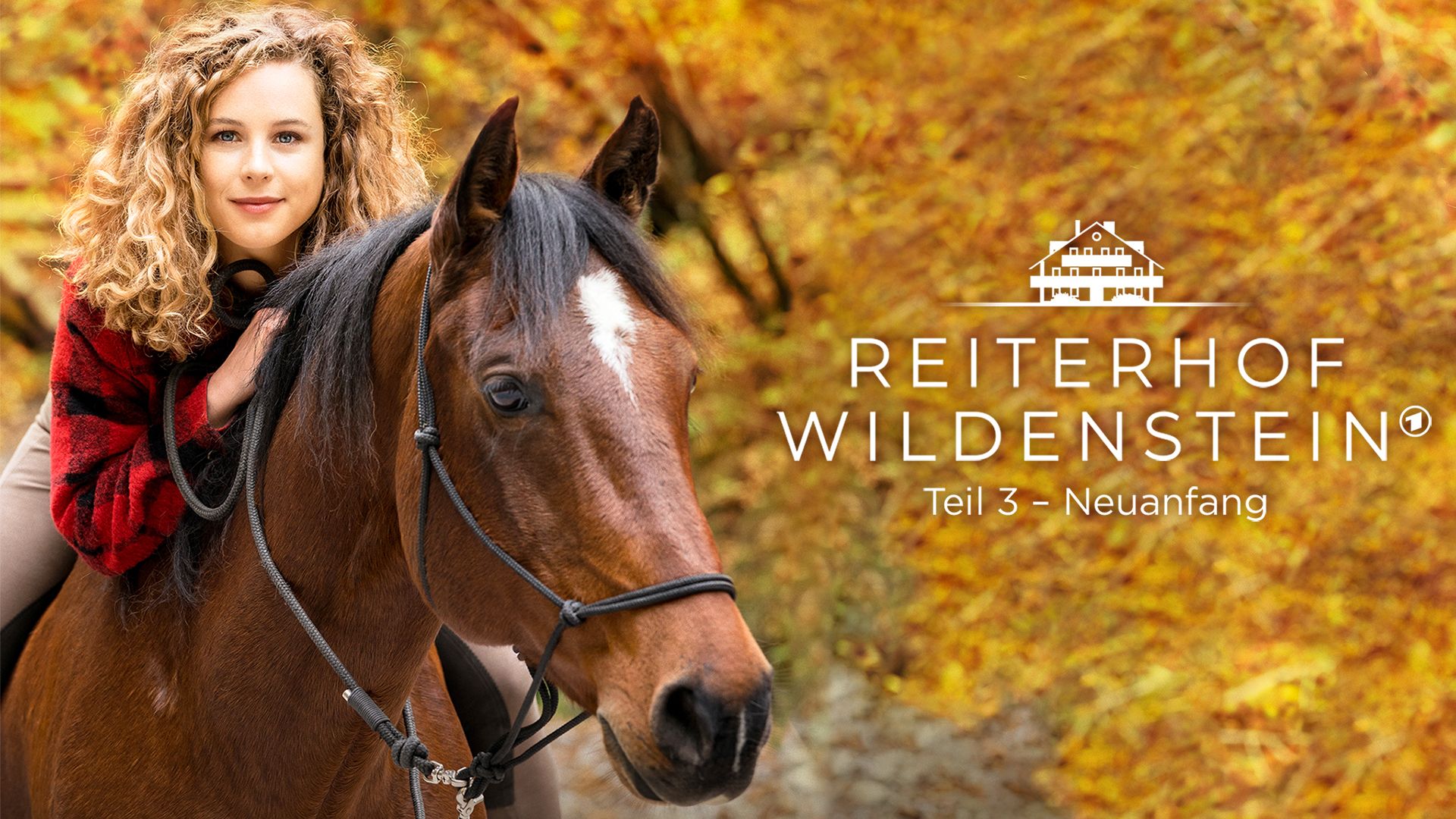 Pferd Bei Karl May 3 Buchstaben Pferd Bei Karl May Rätsel - information online