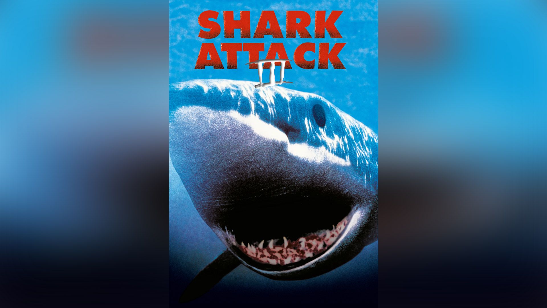 Funny Shark Memes In Honor Of Shark Week The Wall Of Champions